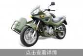 D 普通三轮摩托车